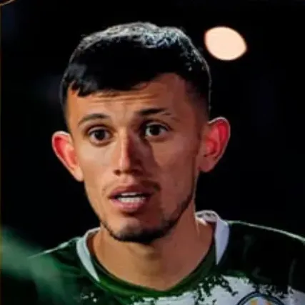 Foto de Bicho